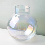 Creative Glass Vase Transparent Hydroponic Flower Dry Flower Vase